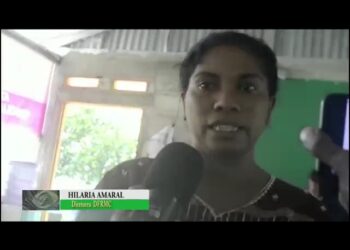 CCC Kapasita Delegada 148 Hodi Kompete Ho Mane Sira