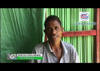 Professor Permanente Nain Ida Iha FatuLulik, Hanorin Tinan Tolu Lá Simu Salariu.