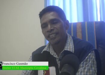 Provizóriumente STAE Covalima Identifíka Livru Ida Ho Buletin Votus Folla 51