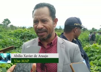 Abilio Xavier “Du’ut Lehe Fo Kontribuisaun Bo’ot Ba To’os Na’in Sira”