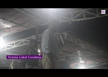 Administradór Munisípiu Louva Ekípa Kontribuitór Anima Povu Covalima