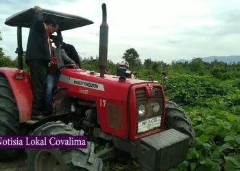 Grúpu Agrikultór La Hakfodak Husu MAP Apoiu Traktór