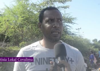 Molok Selébra Restaurasaun Independénsia, Juventude Ho Estudante Hamos Covalima Halo Furak
