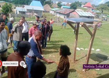 CCC Hasai Uma Kain 62 Husi Nakukun Ba Naroman