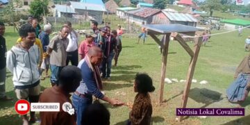 CCC Hasai Uma Kain 62 Husi Nakukun Ba Naroman