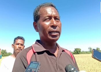 MAP Kolleta Hare Hektares 1,624 Iha Zumalai