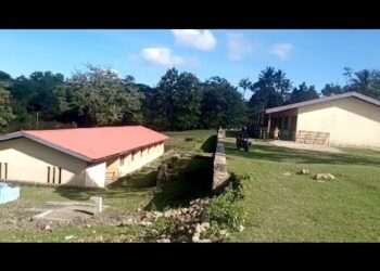 EBF Foholulik Estudante 100 Resin,Kordenador EBF Foholulik Husu MEJD Aumenta Professor