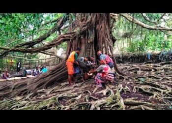 CJC Realiza Aktividades Kultural Tara-Bandu Iha Postu Administrativu Fatumea