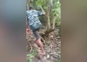 Luis Gusmão Husi Postu Maukatar Hakotu Iss Liu Husi Tara’an