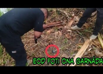 EOD Foti ona Garnáda Iha Rejistu Sivil Covalima Nia Kotuk Lori Ba Harahun – Cova5 News