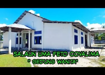 Salaun Uma Feto Covalima Sei Nakfilak Ba Fatin Jogu Kasino – Cova5 News