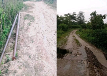 Povu Fatumea Halerik ba dezenvimentu Governo haluha Promesa