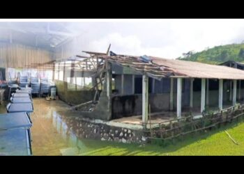 Anin Bo’ot Semana Ida Resin ,EBF Ha’at Hetan Estragus Total