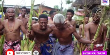 Suku Camanasa Hala’o Serimonia Kultural Sau Batar No Tuda Malu