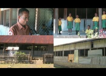 Kondisaun Eskola Tudulpo A’at, Professor Nain 2 Deit Mak Hanorin