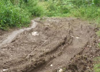 Estrada A’at, Komunidade Aldeia 4 Iha Suku Beco Lori Produtu Lokal Labele Asesu Merkadu