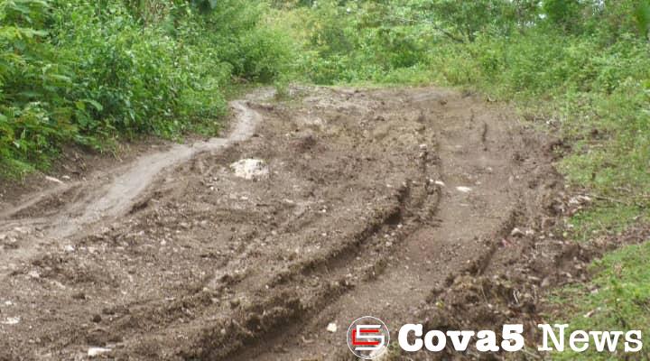 Estrada A’at, Komunidade Aldeia 4 Iha Suku Beco Lori Produtu Lokal Labele Asesu Merkadu