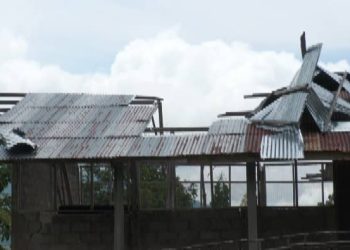 EBF 1,2 Tobur A’at Husi 2016 To’o Agora, Kordenador Husu MEJD Atu Hadia