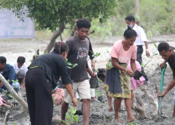 Grupu Lo’otasi Hamutuk Ho LEDAK Konvida Autoridade Hotu Lansamentu Kuda Ai-parapa Rihun 3.118 Iha Suailoro