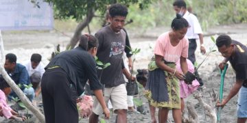 Grupu Lo’otasi Hamutuk Ho LEDAK Konvida Autoridade Hotu Lansamentu Kuda Ai-parapa Rihun 3.118 Iha Suailoro
